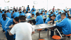 亲菜质量