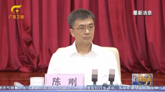 要“深挖严查涉沉金属污染事务及背后的做风问