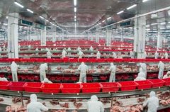 进行国际、消息交换的主要窗口